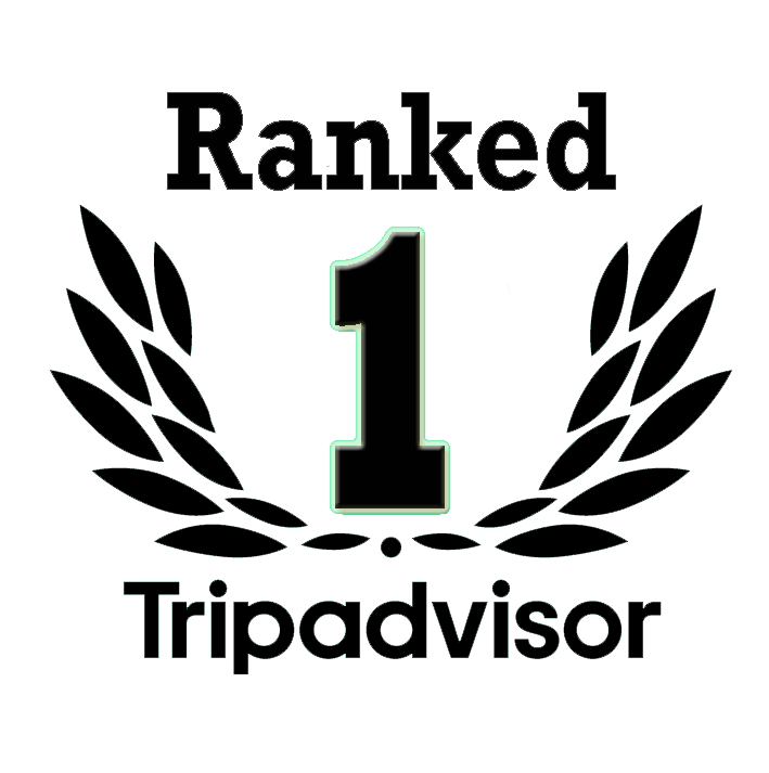 Ranked 1 Tripadvisor Old Town Hostel Kotor